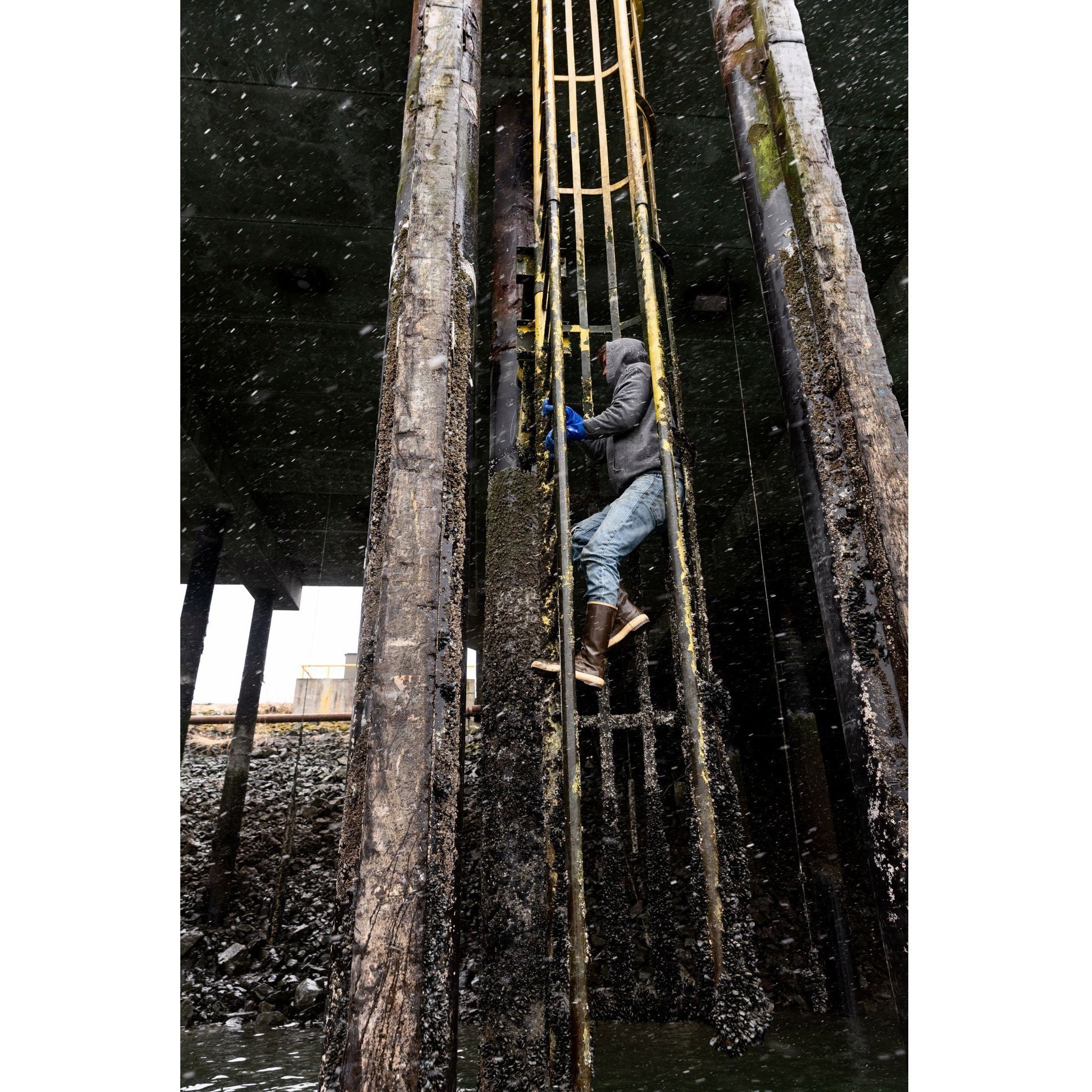 Xtratuf Men's 12" Legacy WP Rubber Work Boot - Copper - 22172G - Image 8